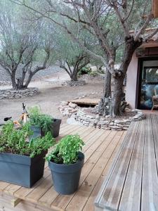 Maisons de vacances La Carpa : photos des chambres