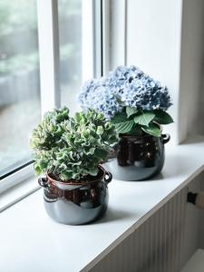 Völlige Ruhe mitten in der Natur