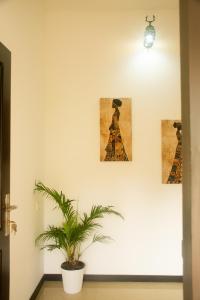 Kollamparampil Homestay