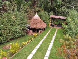 CABAÑA LUZ-CIERNAGA