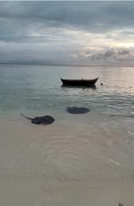 SWIMS Maldives