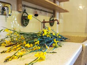 Apartment Le Debbiare-2 by Interhome