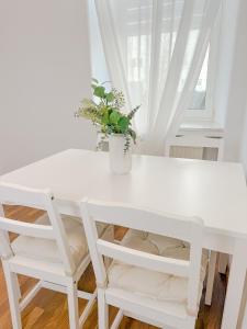 Serenity Apartment - Essential