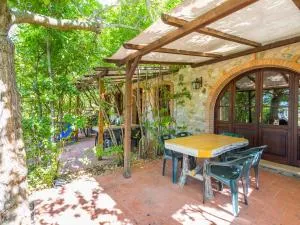 Apartment Falco-27 by Interhome - Podere Dottrina