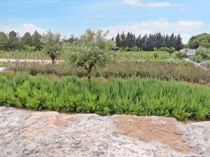 Maisons de vacances Holiday Home Le Domaine de Bacchus-4 by Interhome : photos des chambres