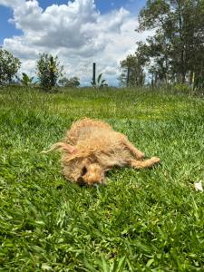 hostel do Mineiro São Bento Sapucaí 2