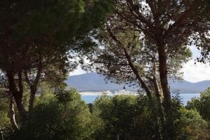 Renato Apartments img10