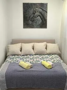 Holiday Home Vladanka-Planinska kuća Vladanka - Biserske Kuće