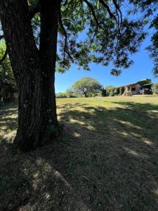 Quinta lo de Dito