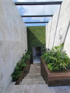 Condo en el corazon de Playa del Carmen