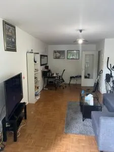 Appartement Spacieux Massy proche de la gare - 伊尼