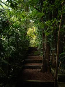 The Lush - Luxury Villa Unawatuna