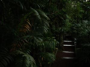 The Lush - Luxury Villa Unawatuna