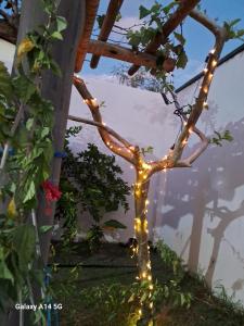 Casa Rosa do Deserto