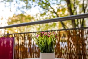 Große Altstadtwohnung im Zentrum mit Balkon - Super Lage