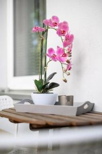 Moderne Wohnung in zentraler Lage mit Balkon - WLAN