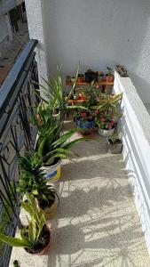 Local home en El Eden Tropical