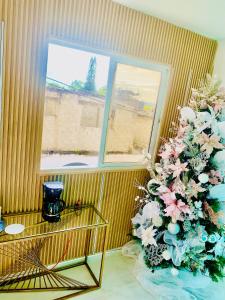 Hotel Plaza Coralillo