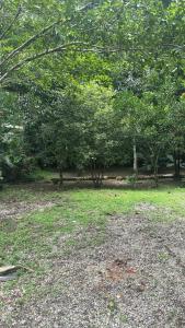 Casa com Quintal Verde a 4 Min da Praia do Perequê