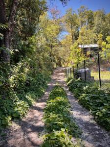 Tiny house los Lleuques