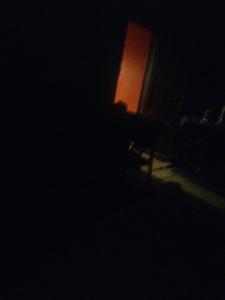 الإسكندرية