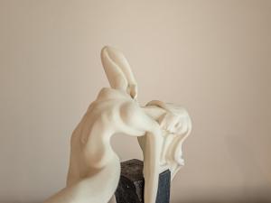 Villas La Sarrazine : photos des chambres