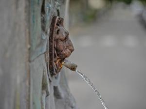 Villas La Sarrazine : photos des chambres