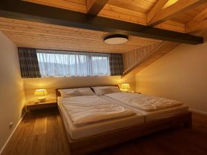 Chalet in Cerny Dul near SkiResort Cerná Hora