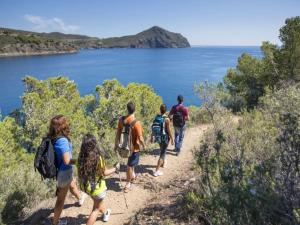 Apartment in Roses near Sandy Beach