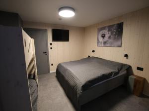 Villa in Dolní Morava near Ski Slopes