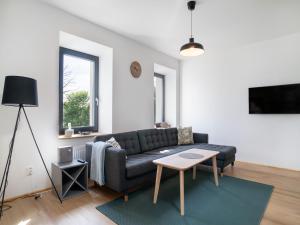 Villa in Desná near Ski Resorts