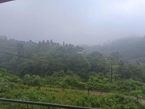 Marigold Homestay in coorg