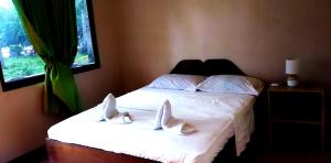 Amazing Cave Camotes - Rooms & Accommodations