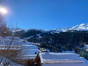 Appartement 3 pièces, 5 pers., balcon, Méribel - FR-1-411-969