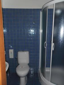 Hotel Arli