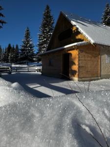 Triglav Cottage 