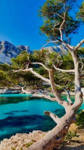 Appartements Appart 2 chambres Proche Port de Porto Vecchio : photos des chambres