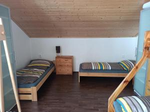 Apartmán Čížci Horní Maršov