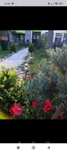 St Martin du canigou Chambres et Table dhôtes de charme