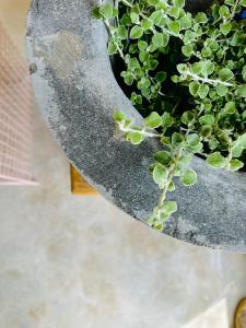 Stellenbosch Farm Studio Apartment