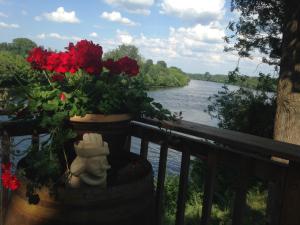 Maisons de vacances Along The River : photos des chambres