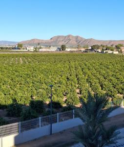 Casa La Laguna - Santa Rosalía Lake & Life Resort