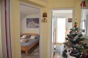 Apartmani NECA Zlatar