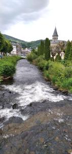 Appartements Doux Ombrages : photos des chambres