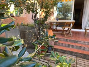 Appartements Appartement 3 pers - piscine - clim - parking : photos des chambres