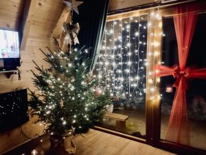 Mountain house MB Žabljak