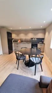 Nyoppusset og moderne leilighet - 斯沃尔韦尔