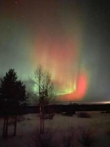 Row house in Meltosjärvi