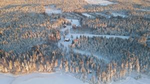 Arctic Hearts - Kleines Schwedenhaus im Wald am See