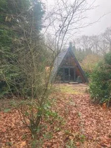 A-huis in het bos van Drenthe - Westervelde